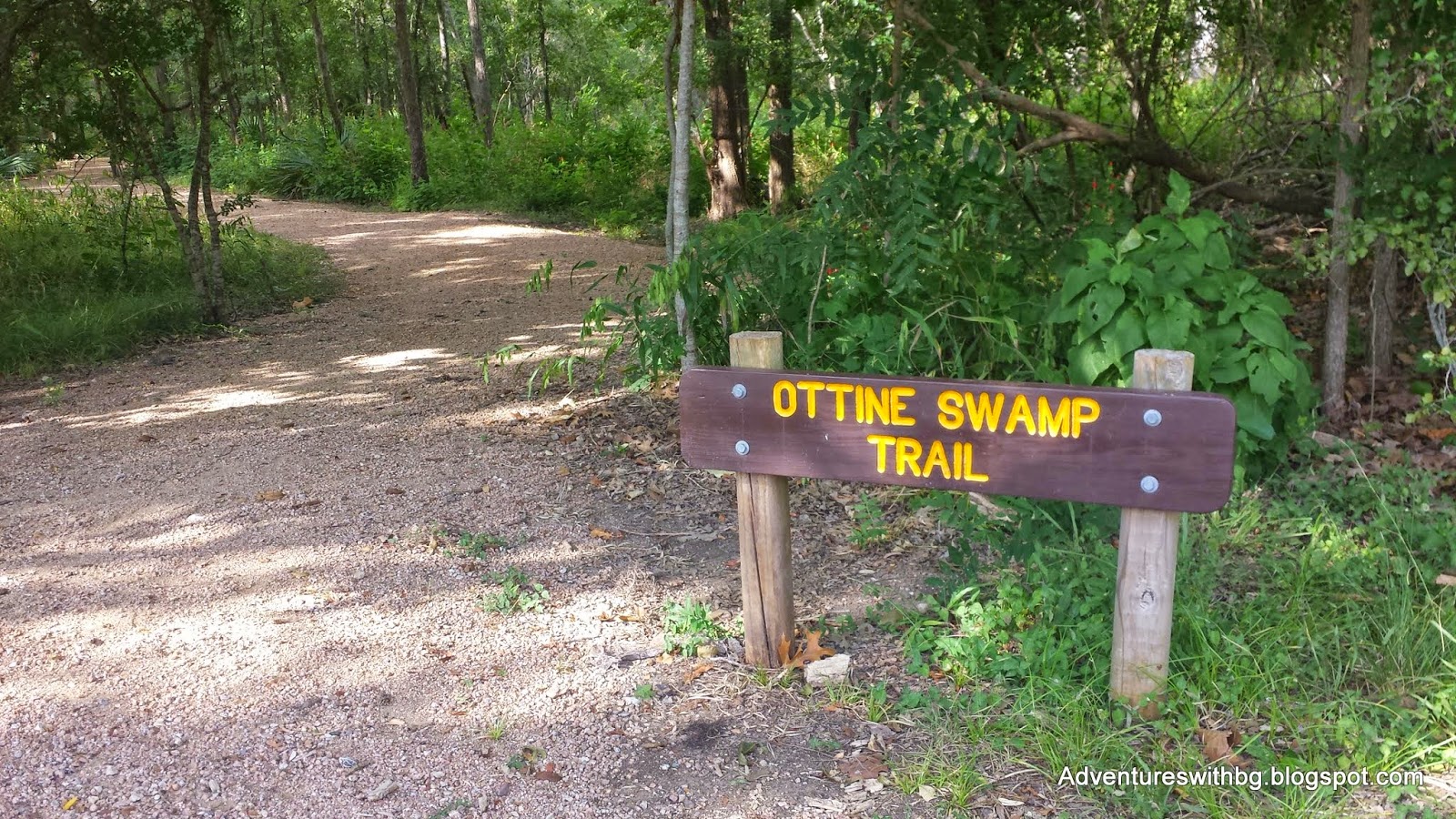 The Ottine Swamp Trailhead The Ottine Swamp Trailhead at Palmetto State Park