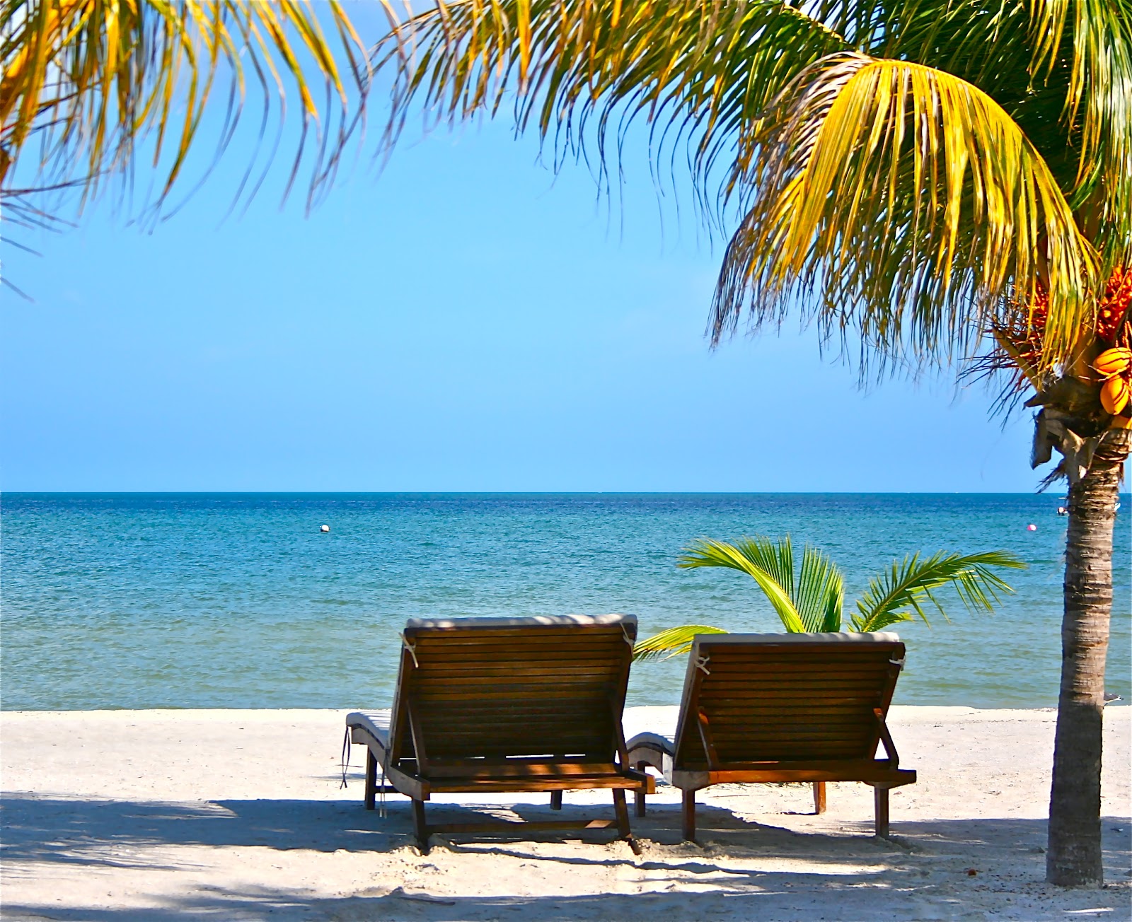 Safe Traveler Isla Holbox, Mexico