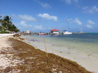 Remax Vip Belize: Ambergris Caye