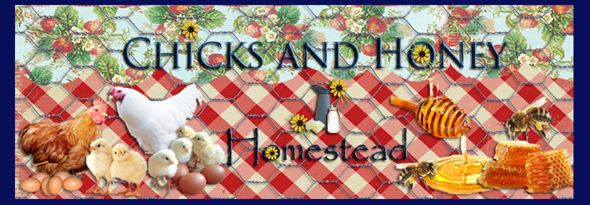 Chicks and Honey Homestead
