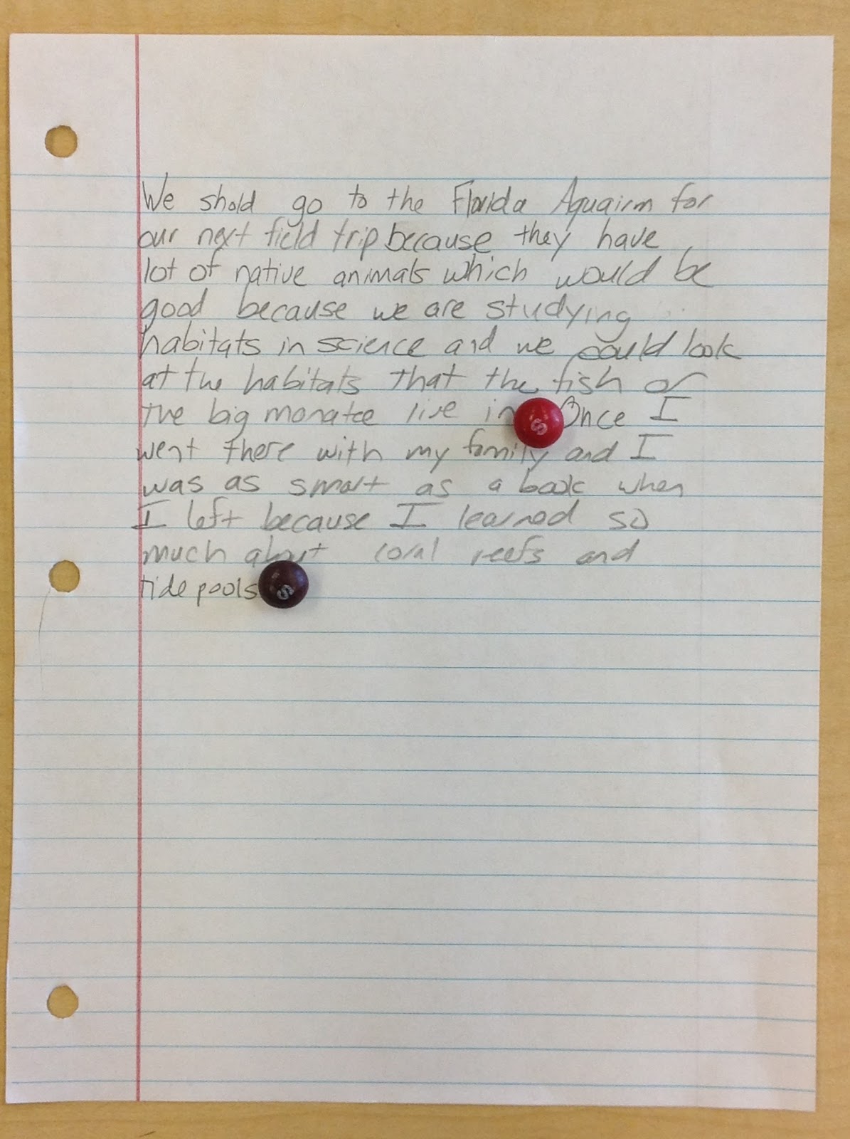 Smoothie skittles picture