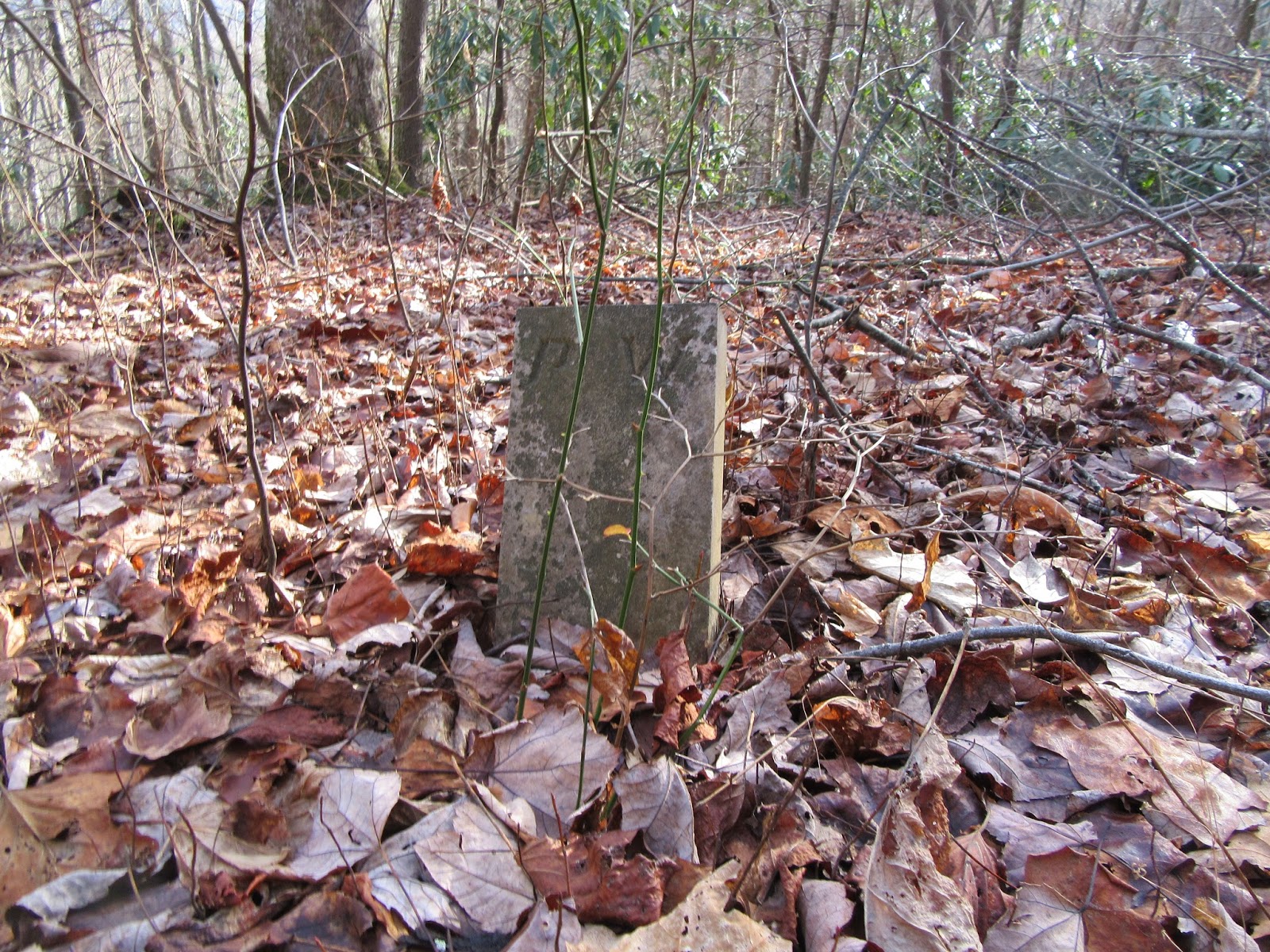 Smoky Mountain Cemetery Creeping Williams Cemetery