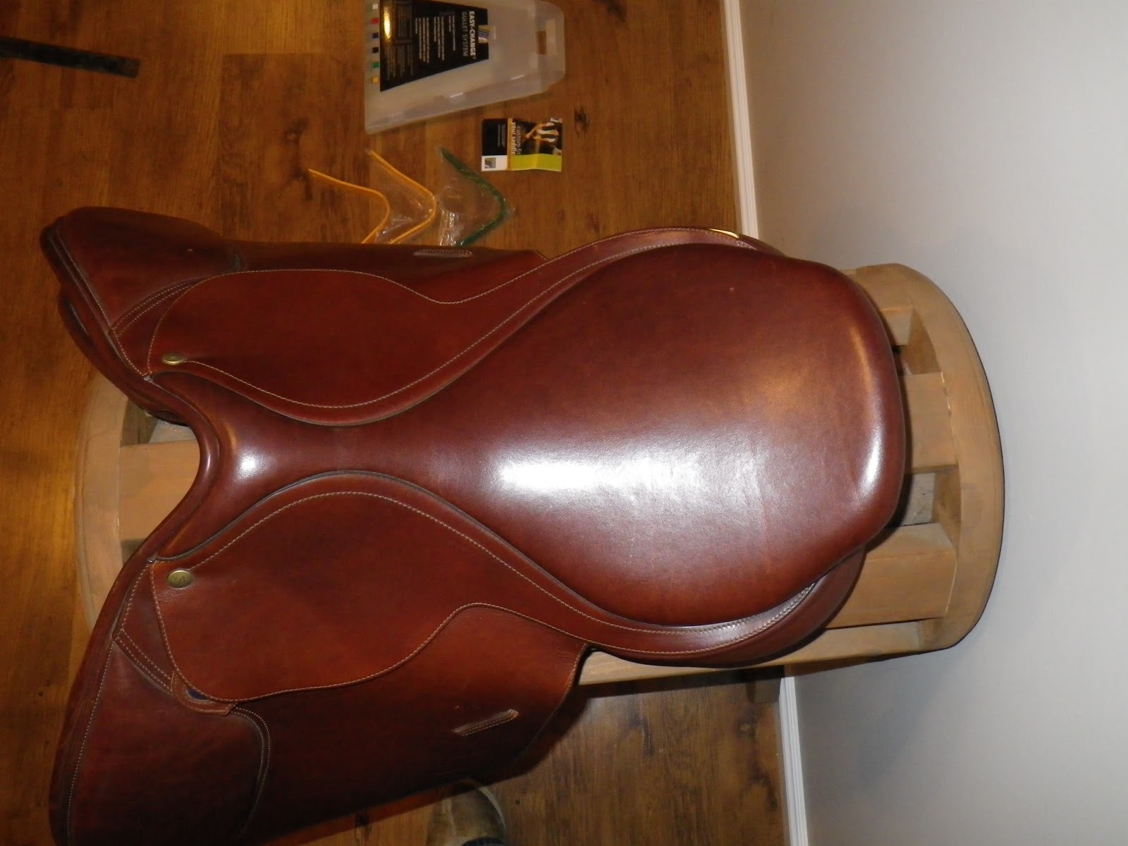 Andrea's Animal Adventures Bates Australia Close Contact English