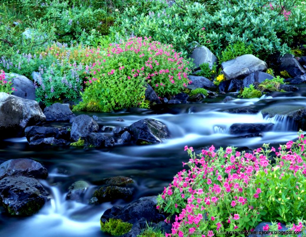 Nature Wallpaper Gallery 9 Wallzip Nature Wallpaper Gallery 9 Wallzip