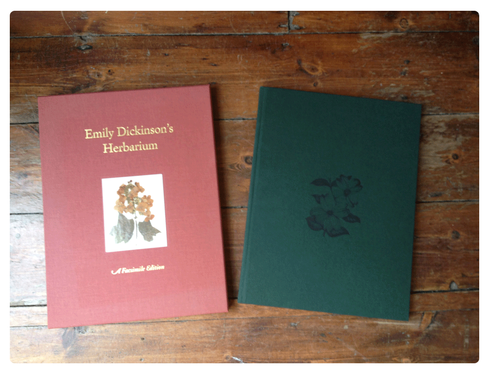 emily dickinson 8 essay emily dickinson 8 essay