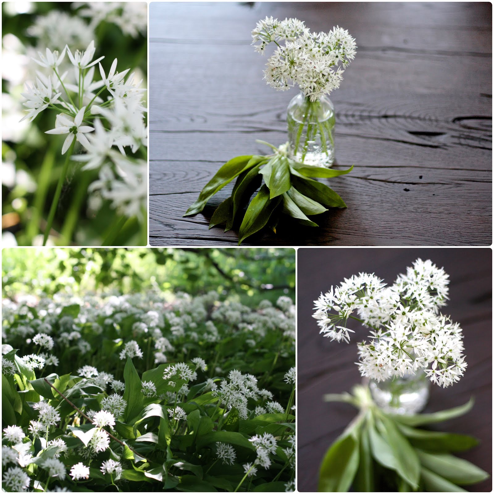 Holiday On Ice Tickets Und Anfahrt Hannover Tui Arena 12 Bis