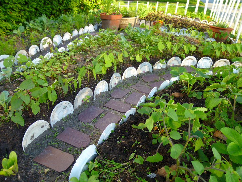 TEODECO Dish Garden / GeschirrGarten