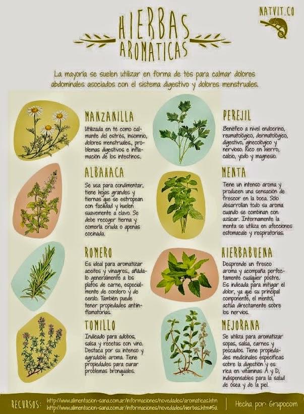 Hierbas aromáticas… ¿para qué sirven? Recetas, salud y Hierbas aromáticas… ¿para qué sirven? Recetas, salud y