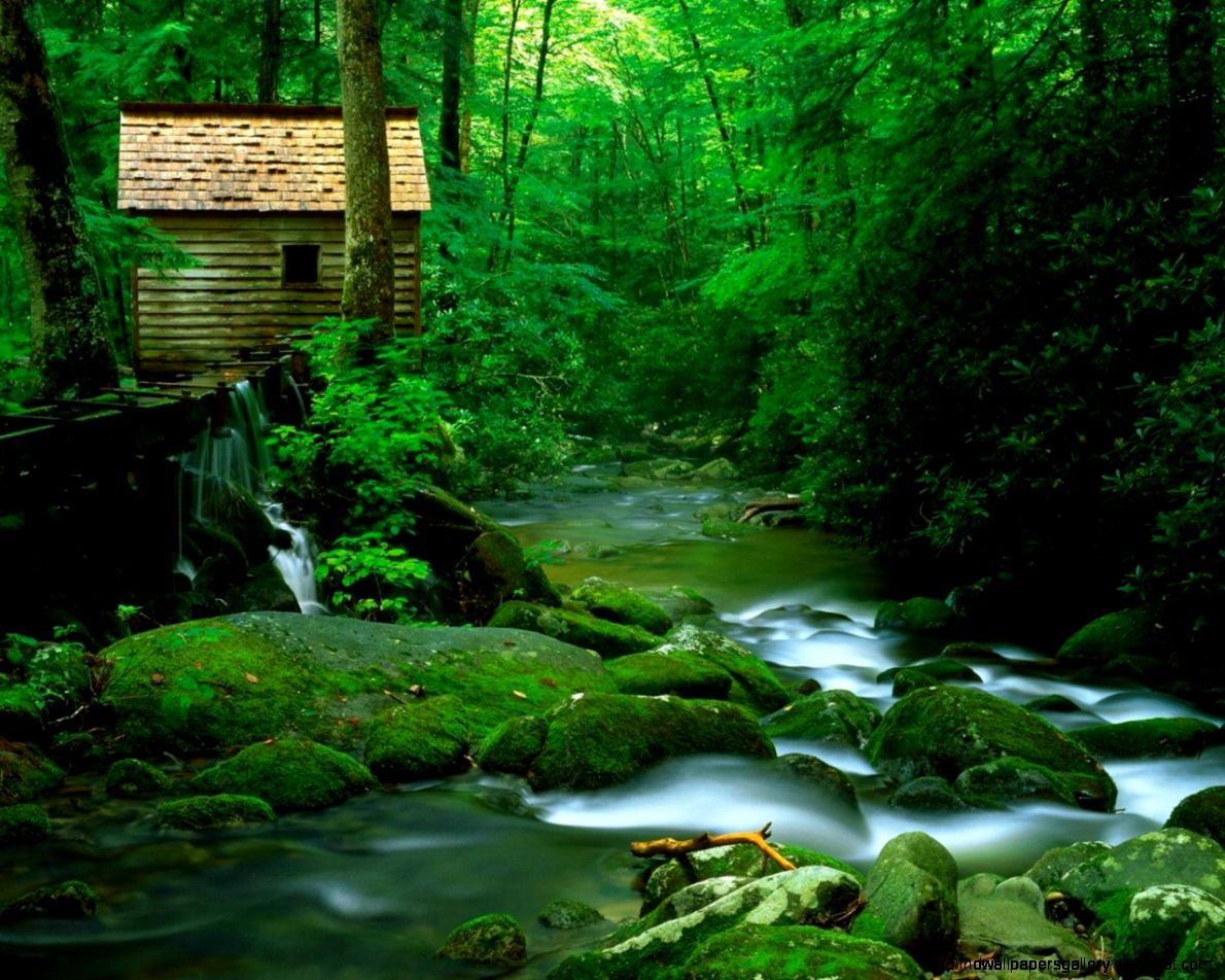 Free High Resolution Nature Free High Resolution Nature