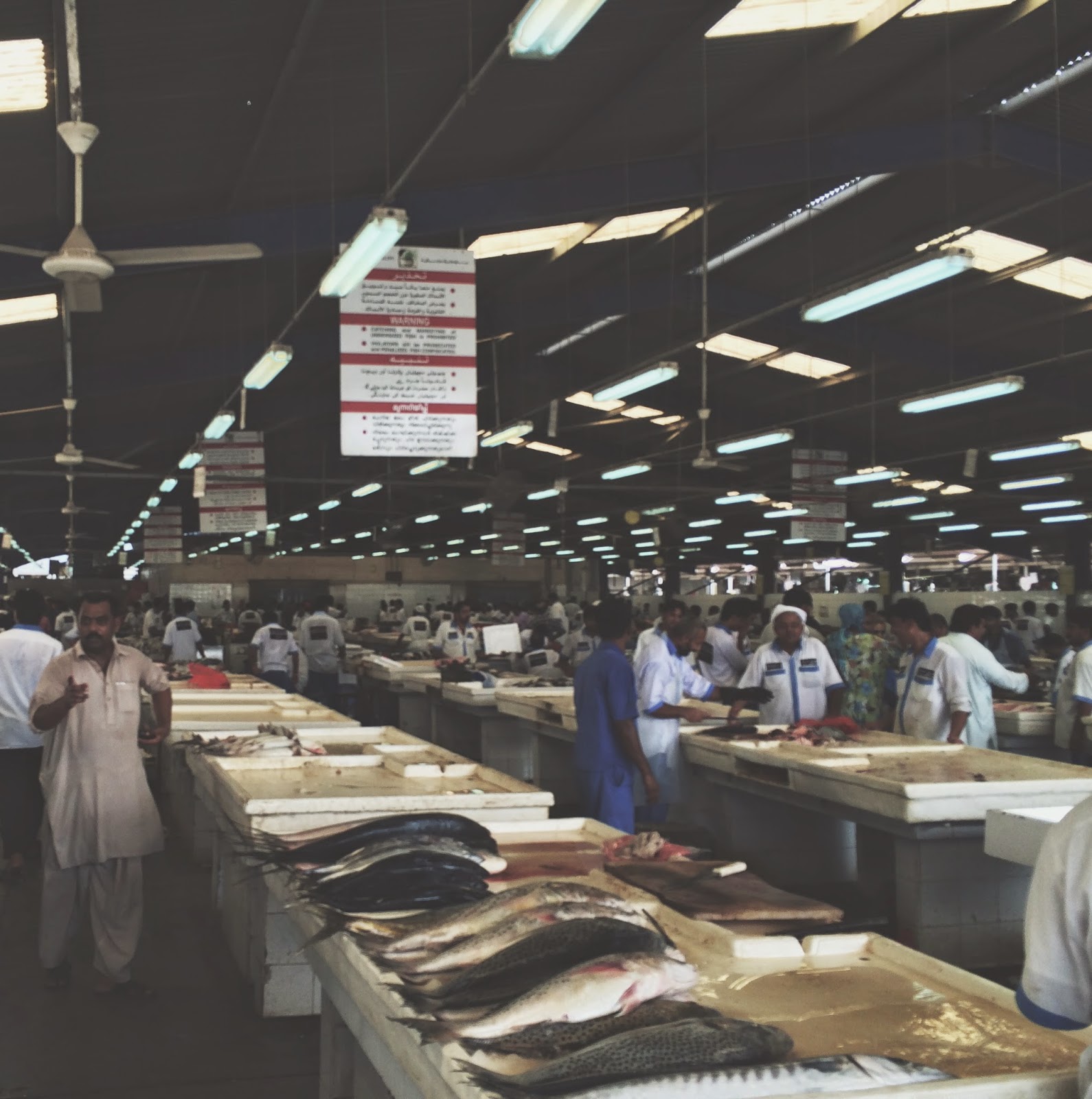 Love & Life in... Deira Fish Market, Dubai