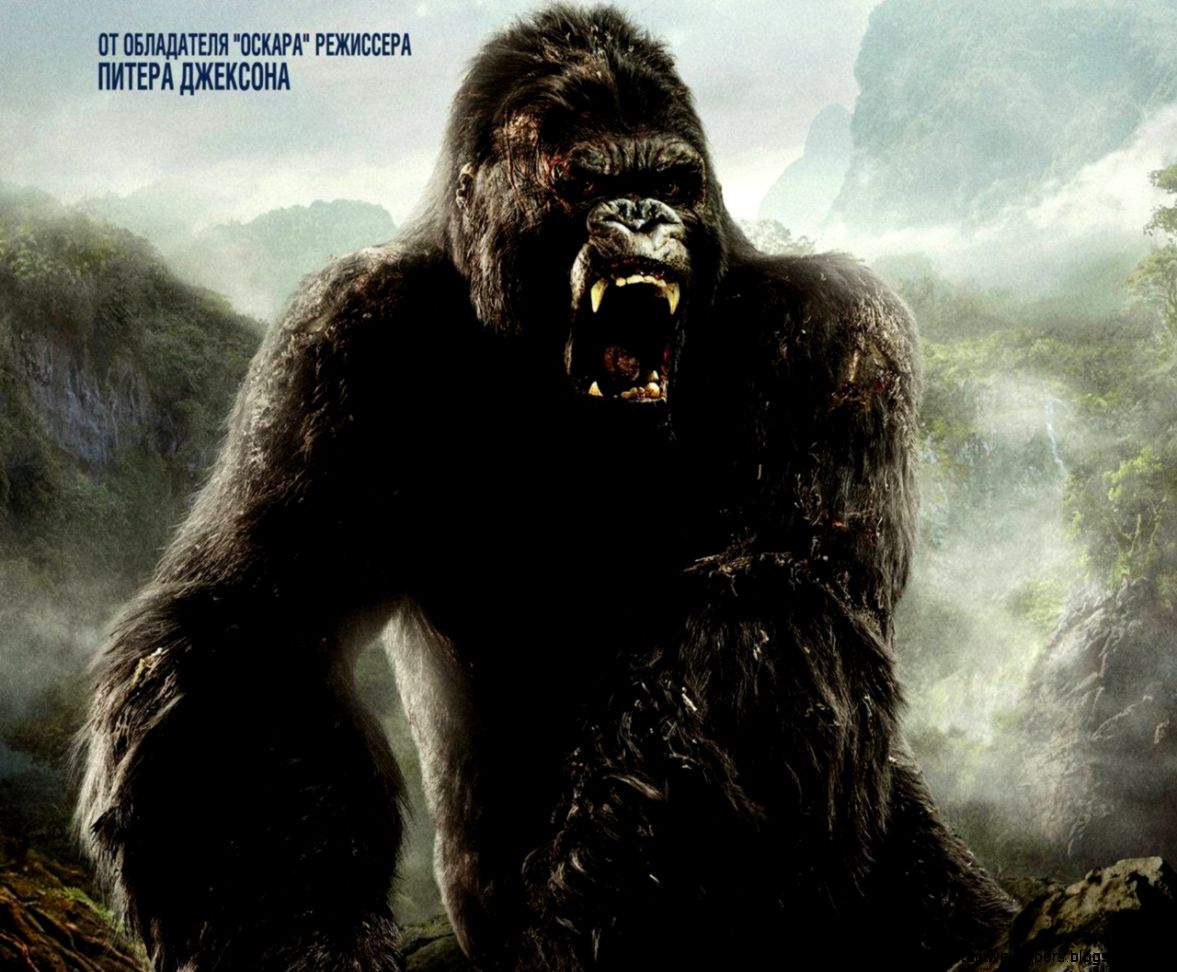 Kingkong Wallpapers Wallpaper Zone Kingkong Wallpapers Wallpaper Zone