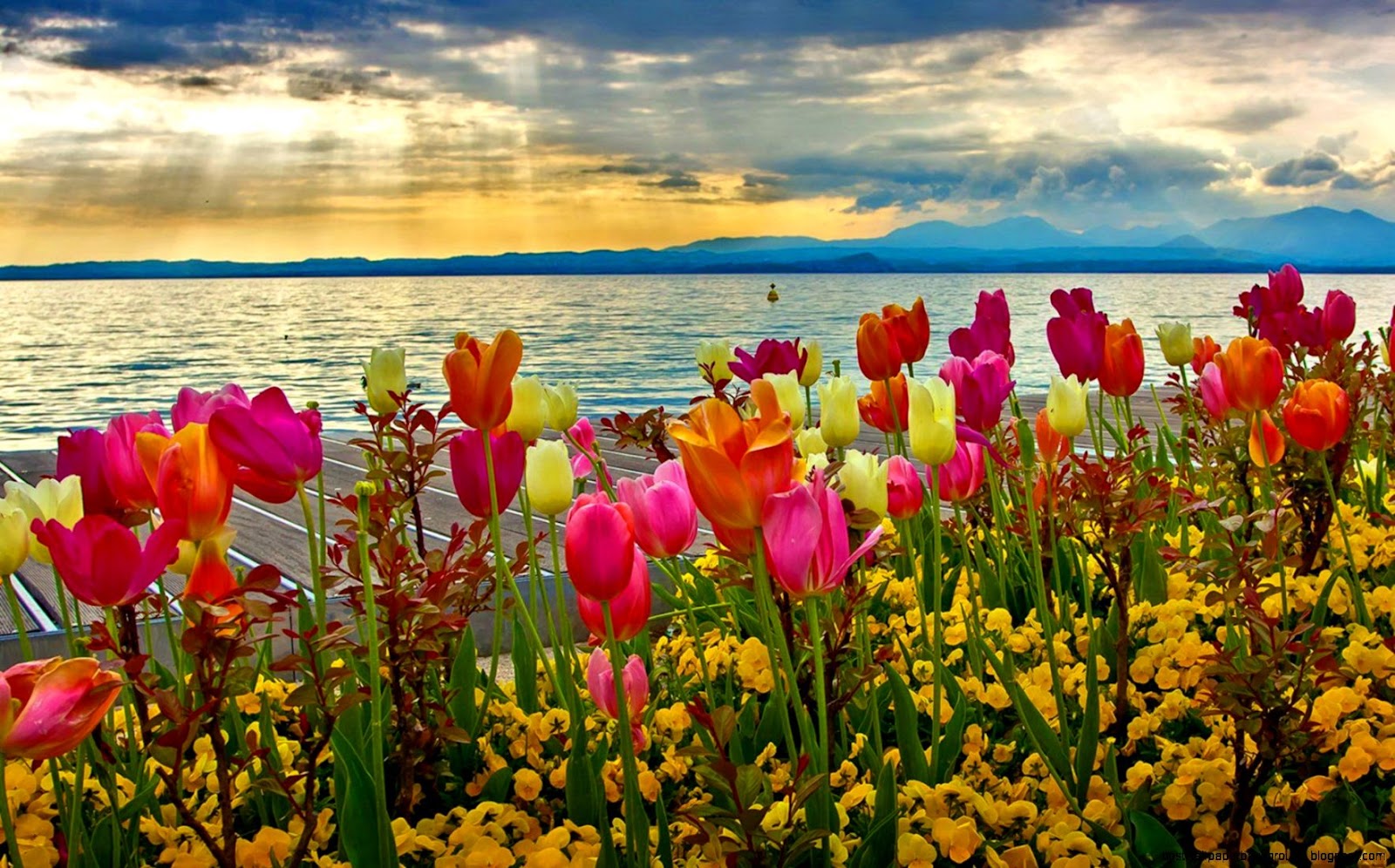 Beautiful Spring Desktop Beautiful Spring Desktop