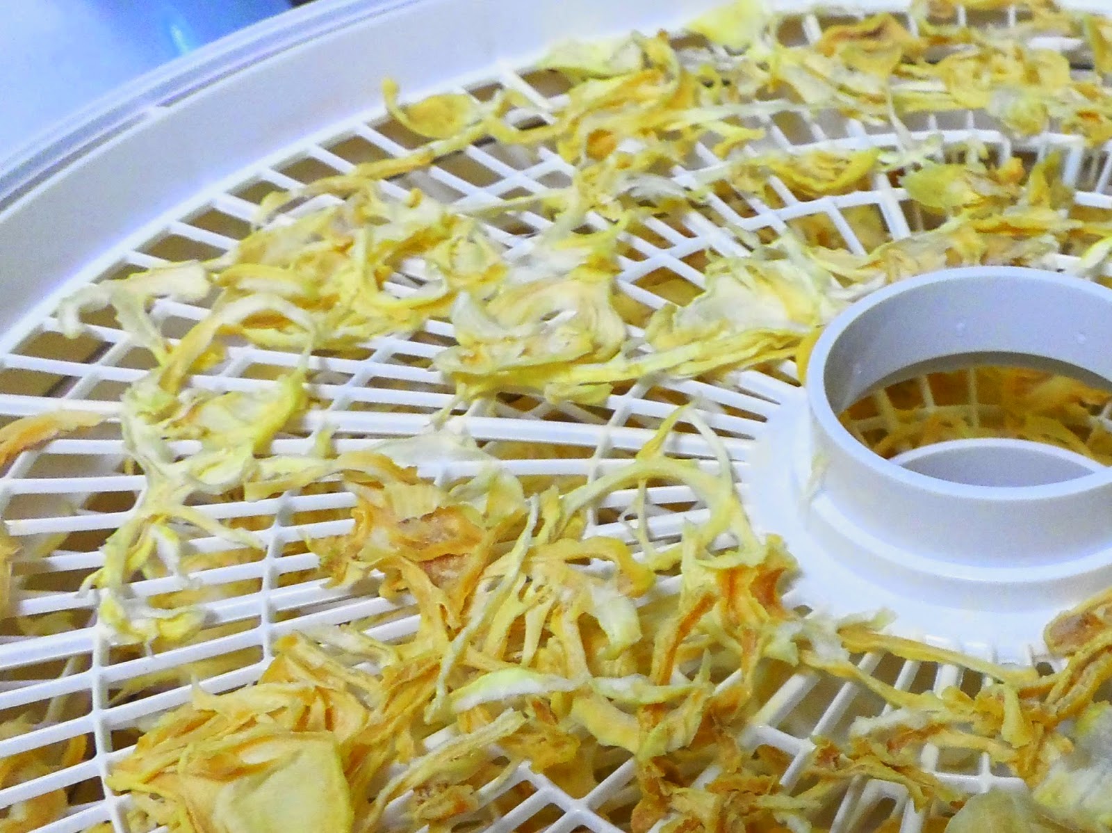 Stephlin's Mountain Dehydrating Onions for Fresh Flavor with a Long