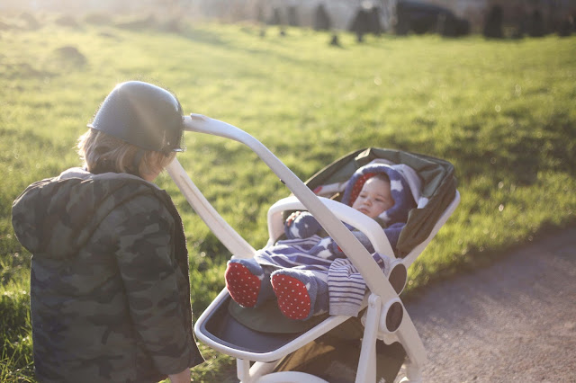 Eco stroller