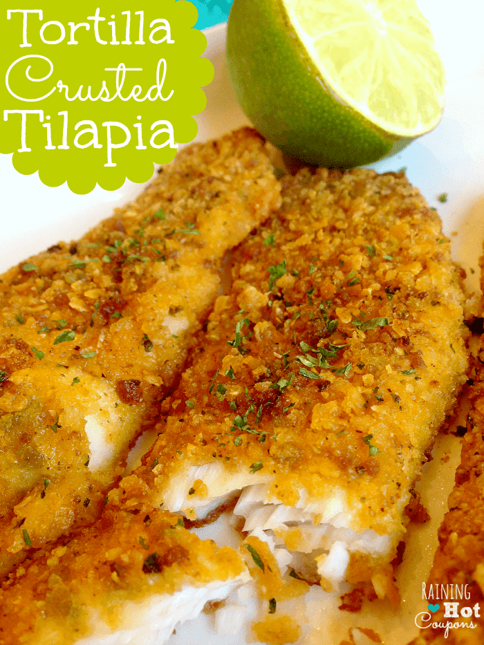 Tortilla Crusted Tilapia Best Recipes Ever