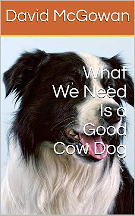 What We Need Is a Good Cow Dog