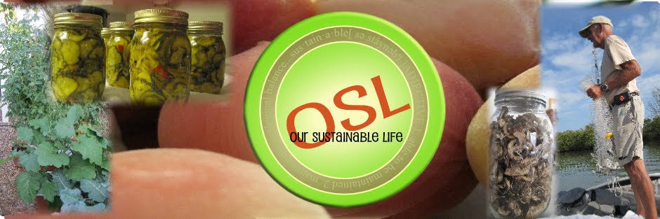 Our Sustainable Life
