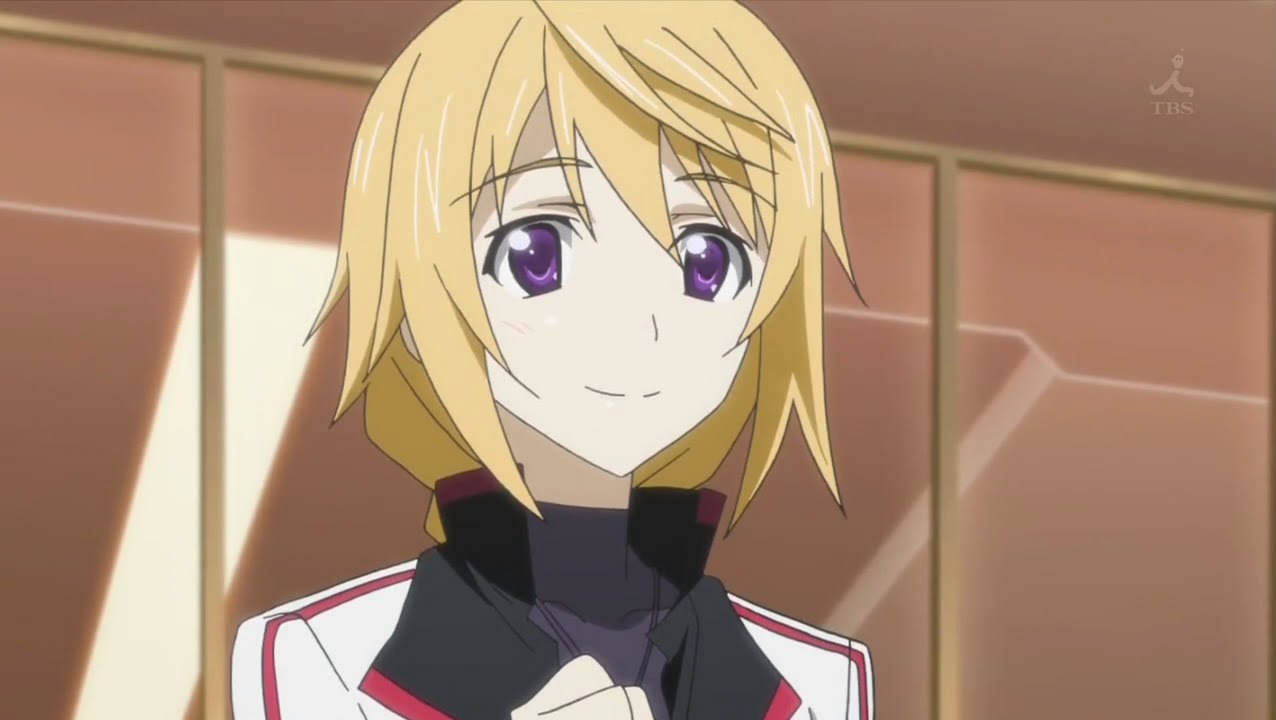 A Hollow Anime Review: IS: Infinite Stratos