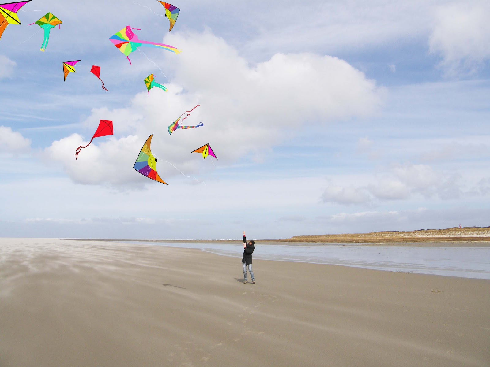 50 hoorays in 150 days Where is the real kite?