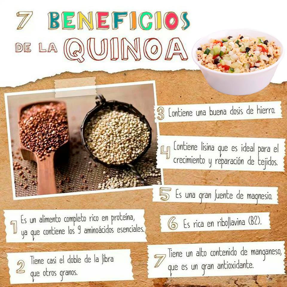 Organic Life Perú Quinua Blanca Organic Life Perú