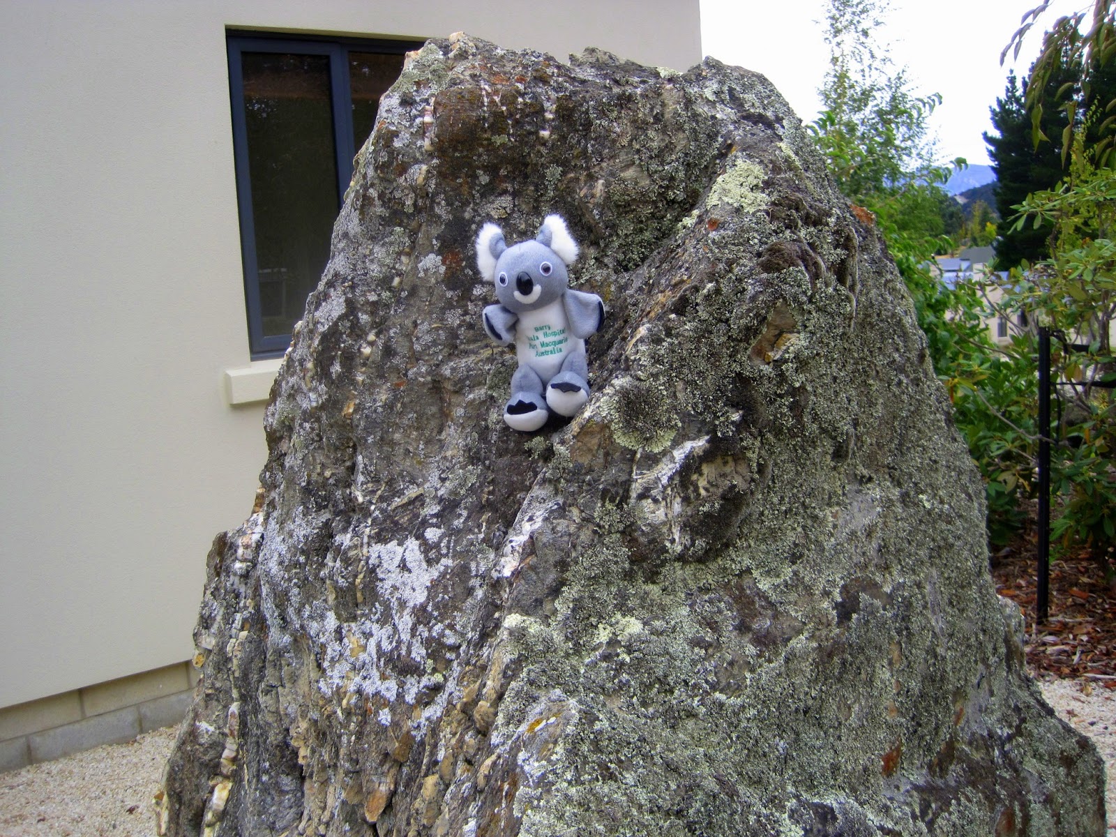 Mimi's Own Blog: Driving to the west coast over Haast Pass