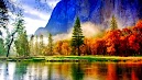 Nature Color Photo Desktop