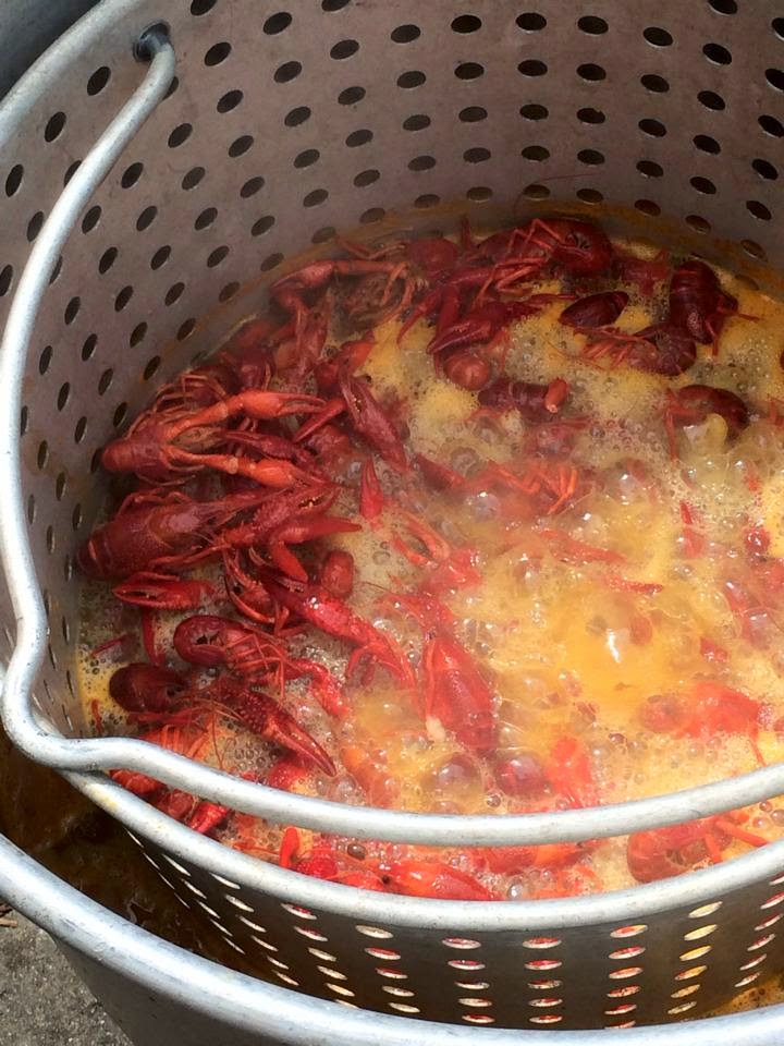 Crawfish Boil Food Gasms Recipes