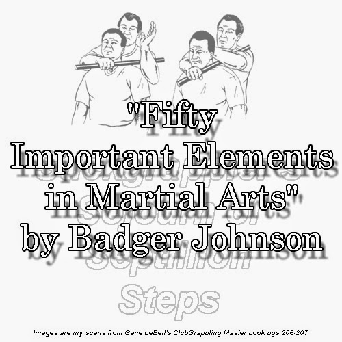 Badger animal picture