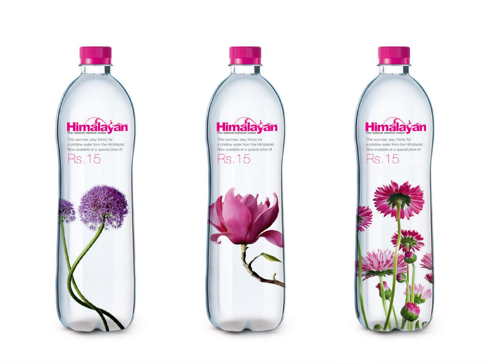 Himalayan Water Bottle