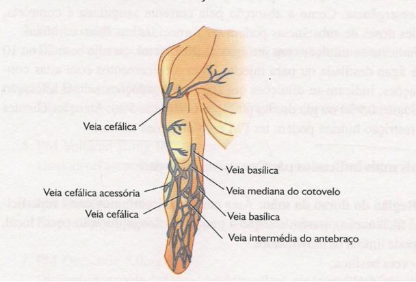 Sim pequenas meninas com sardas são bem e sem