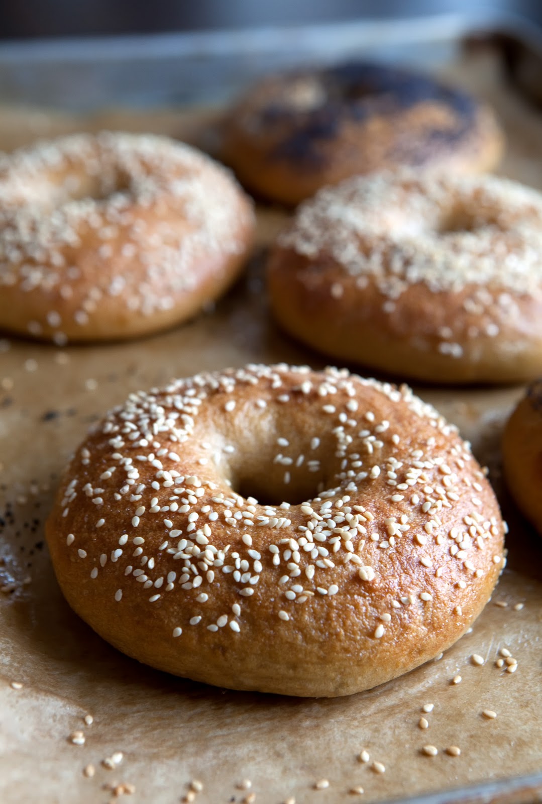 The Flour Sack WholeWheat Bagels