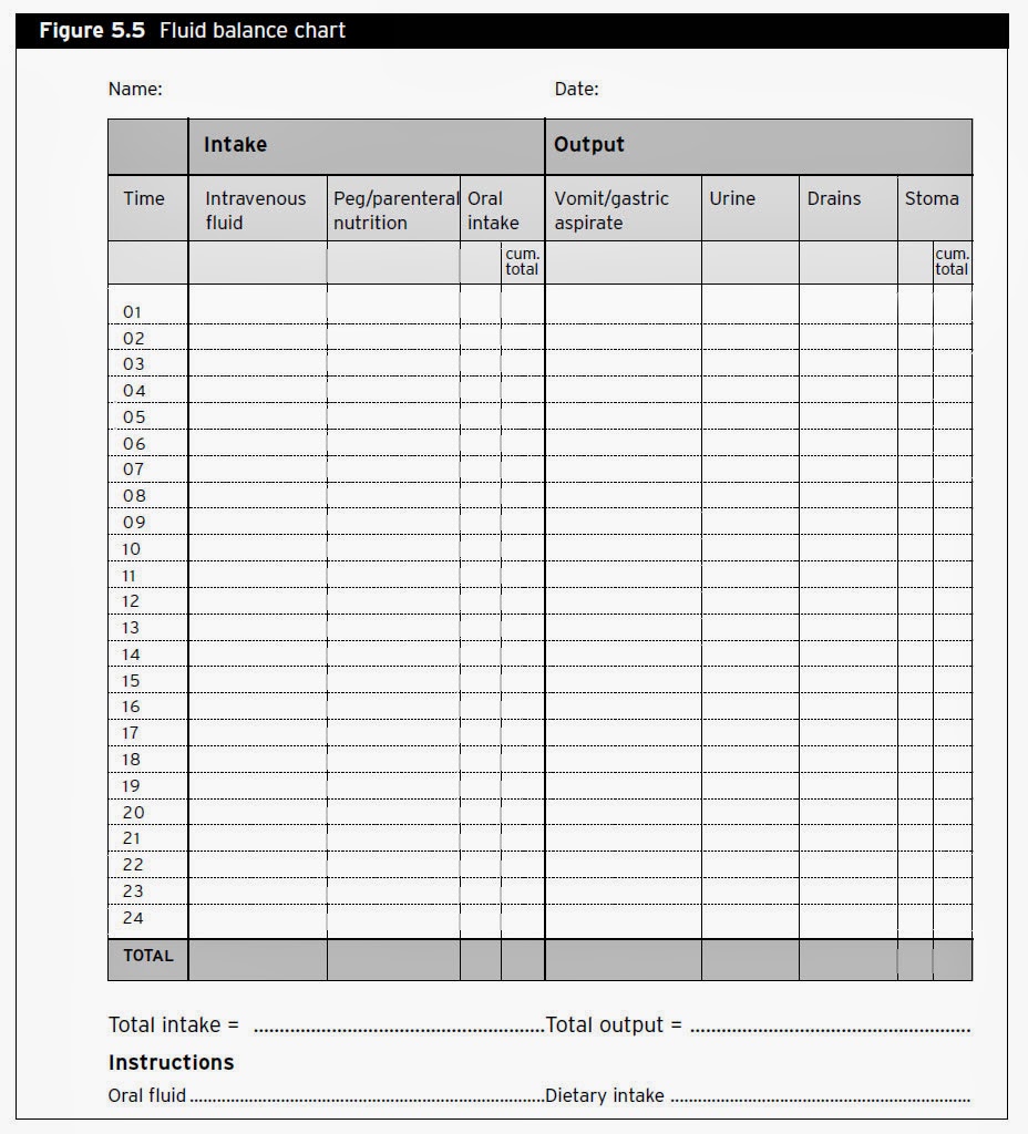 Input And Output Chart In Nursing