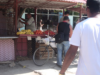CAMAGUEY MERCATO