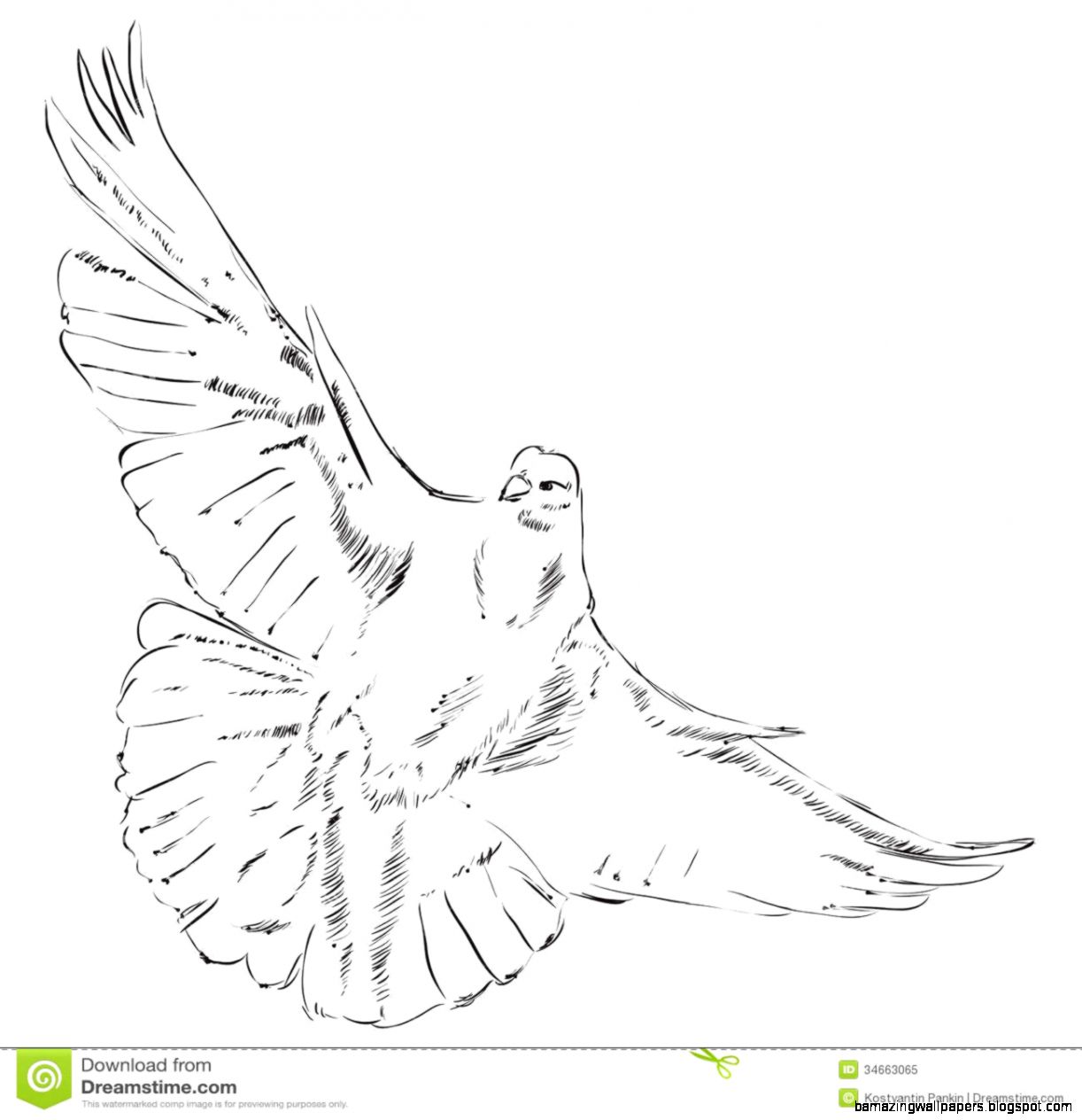 Flying Dove Royalty Free Stock Photo   Image 34663065 Flying Dove Royalty Free Stock Photo   Image 34663065