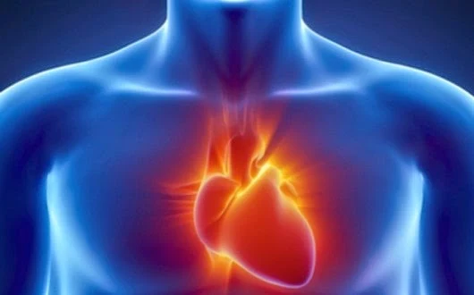 Ενημερωτική εκδήλωση για τις καρδιαγγειακές παθήσεις στην Αιδηψό