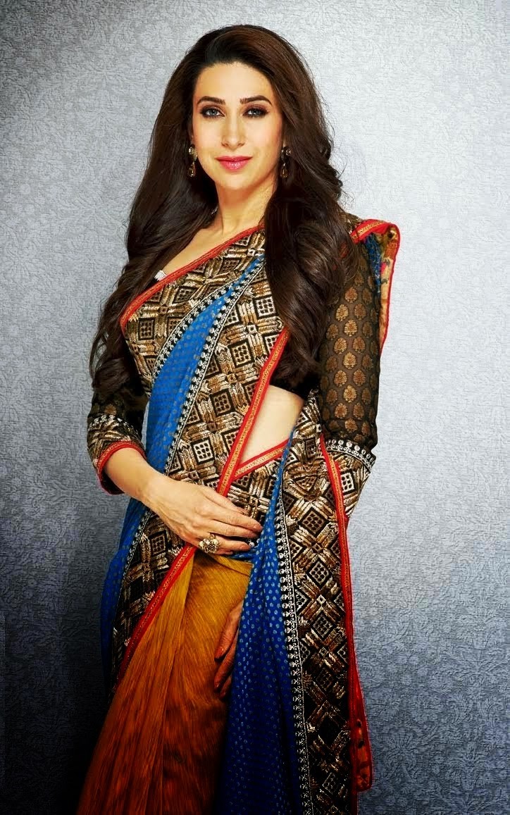 Karishma Sarees 2013 2014 | Karishma Kapoor Saree Collection