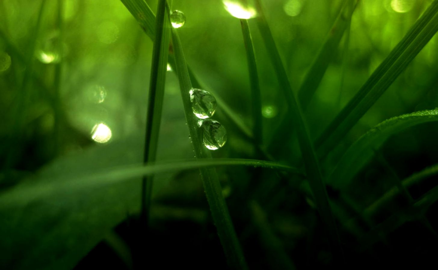 Water Drops HD Wallpaper Water Drops Images Cool Wallpapers Water Drops HD Wallpaper Water Drops Images Cool Wallpapers