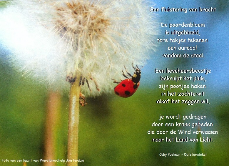 Bildung im