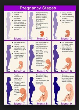 Pregnancy For Child and Pregnancy Disorders
