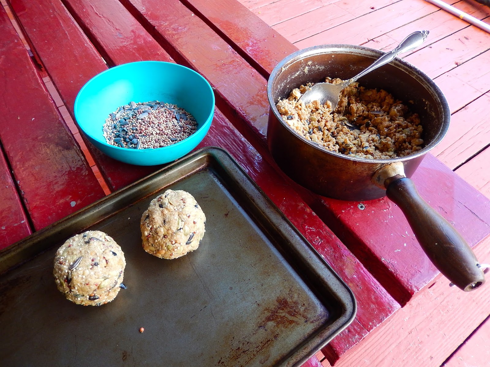 Powell River Books Blog No Melt Suet Balls