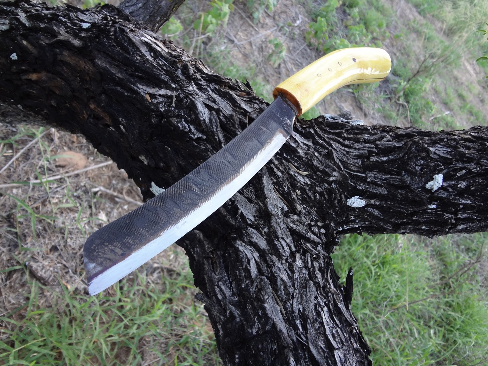 Woods Roamer Wild Tales from the Texas Brushlands and the Making of a Small Woods Roamer Knife