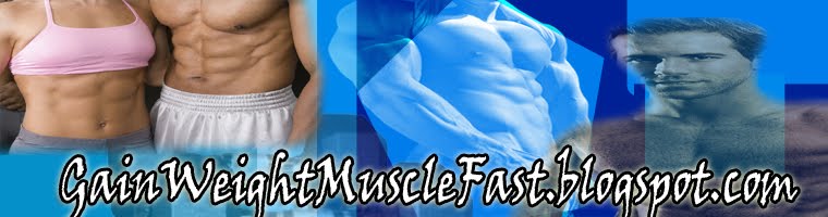 The Best Way To Gain Muscle | #1 Blog Information