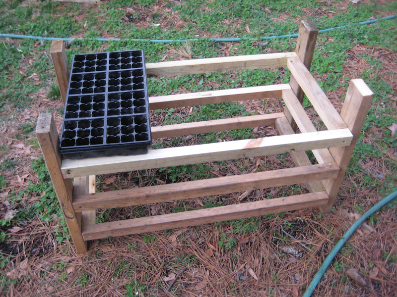 Tales of Life and Dirt Seed Germination