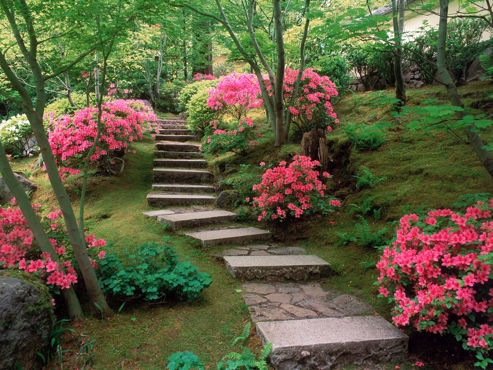 Flower Garden Wallpaper | Top HD Wallpapers