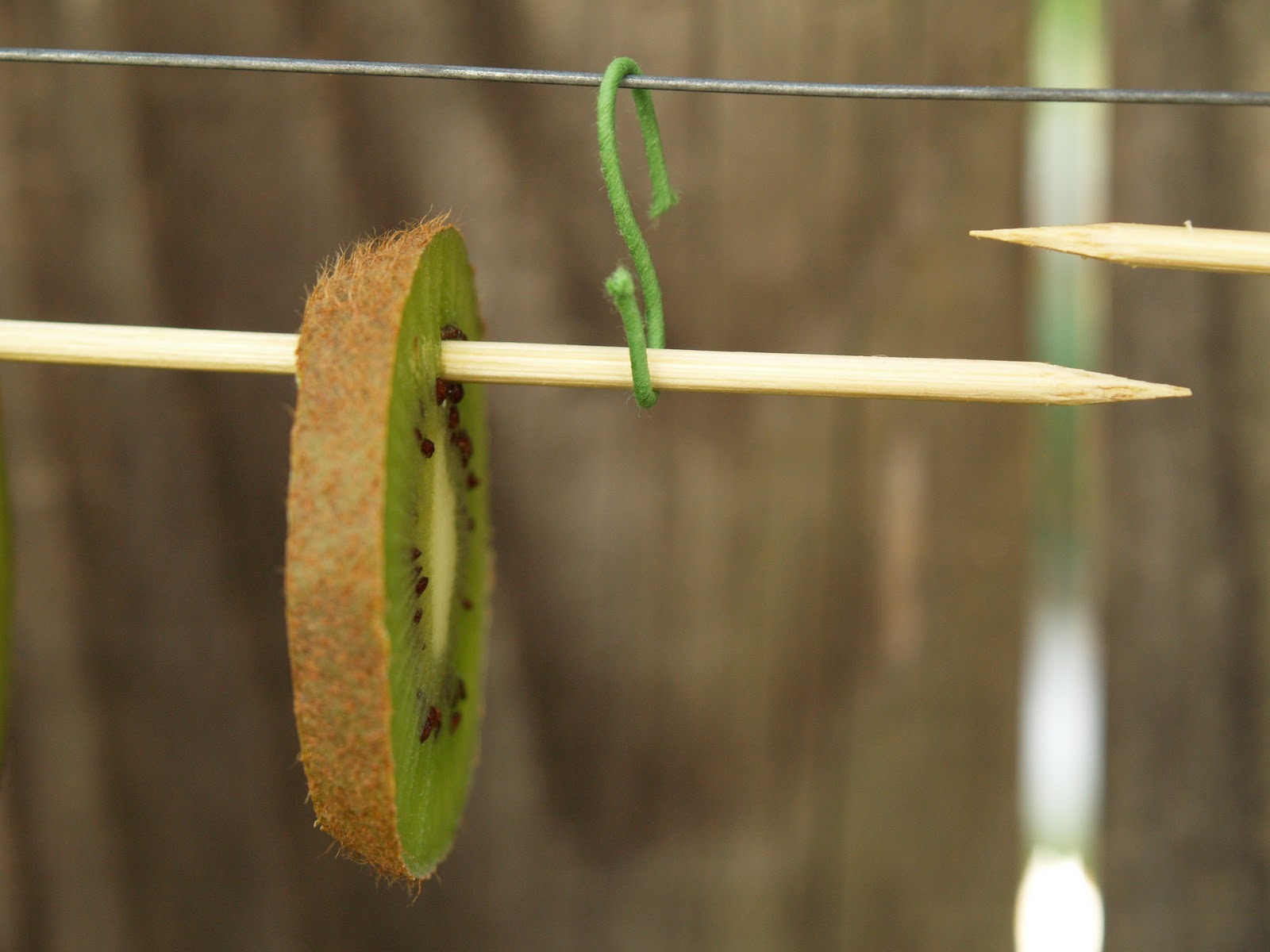 Handmade Christmas Ornaments Dried Apples and Cinnamon The Magic