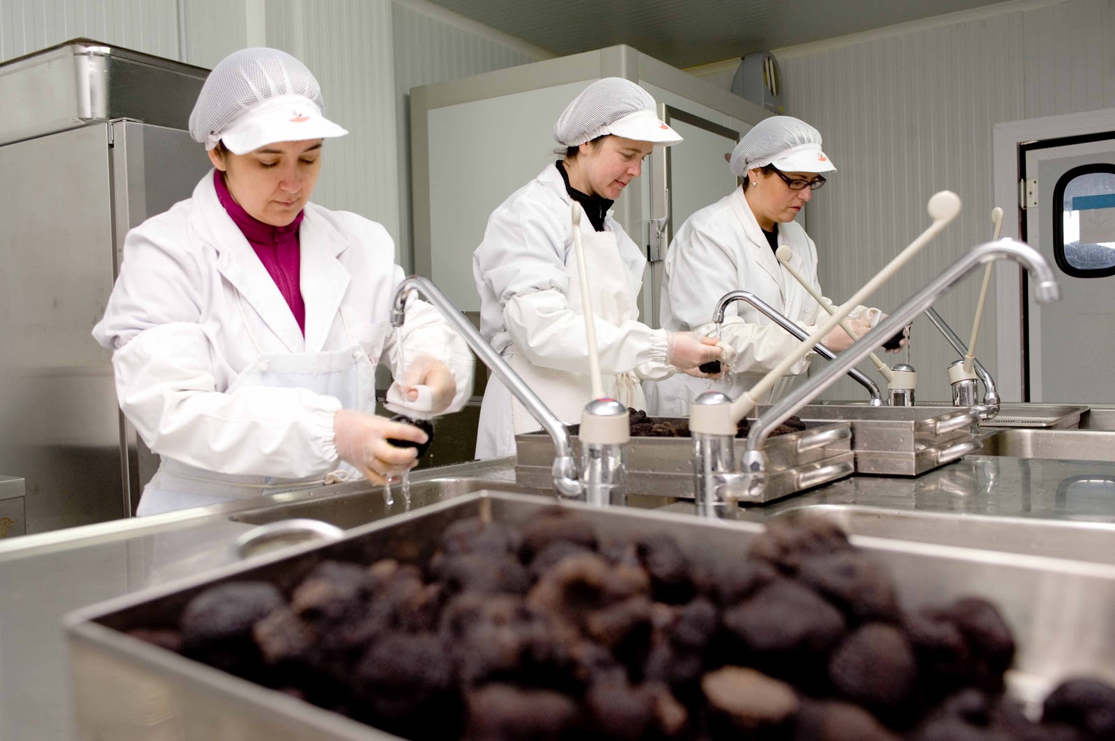 What is a Truffle? The black diamonds from Sarrion, Spanish capital of