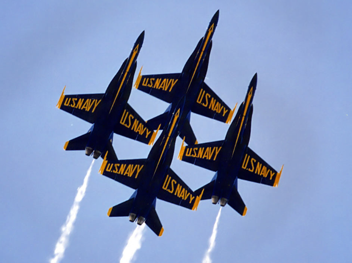 Kimberleigh & Paul Gavin Fine Art US Navy Blue Angels Publish 2014