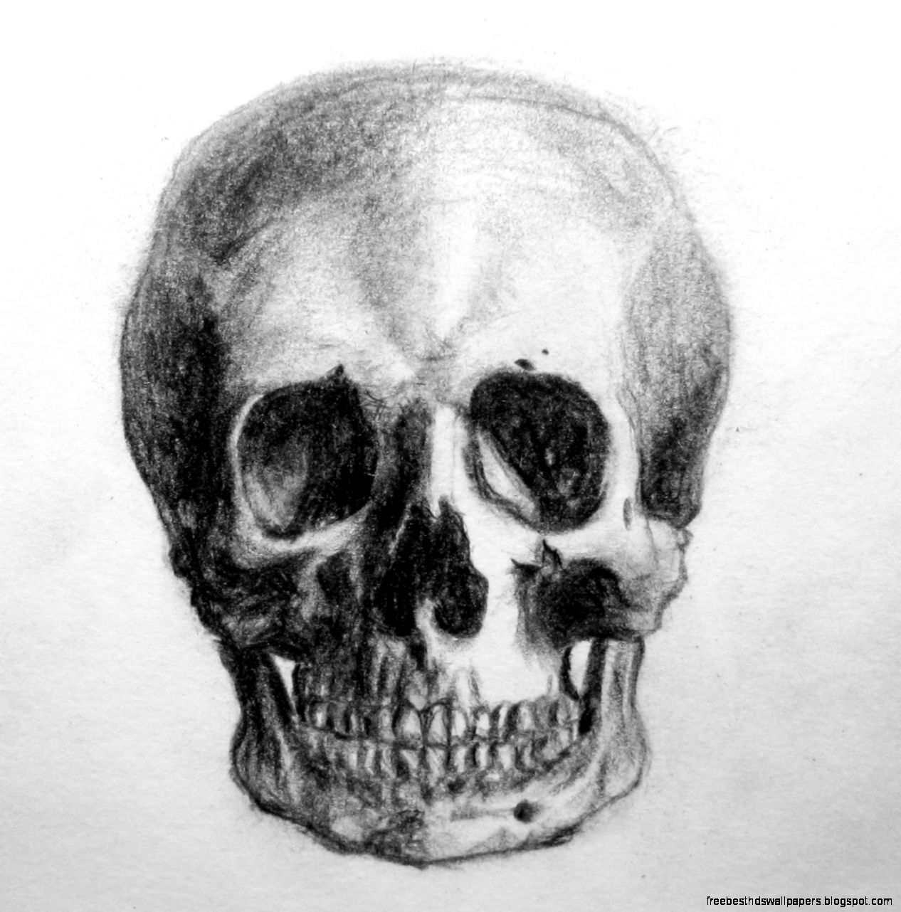 Skull Pencil Drawing Skull Pencil Drawing