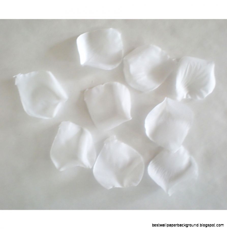 Rose Petals White Rose Petals White