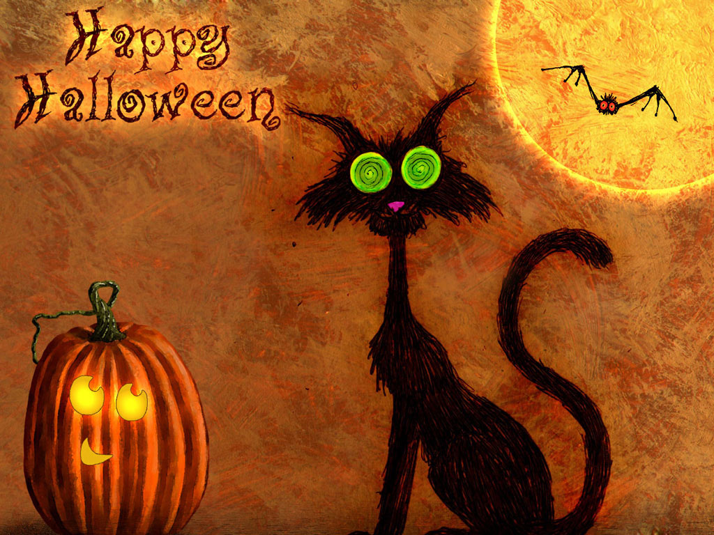 Funny Halloween Cat HD Photo Images, Wallpaper | Festival Chaska